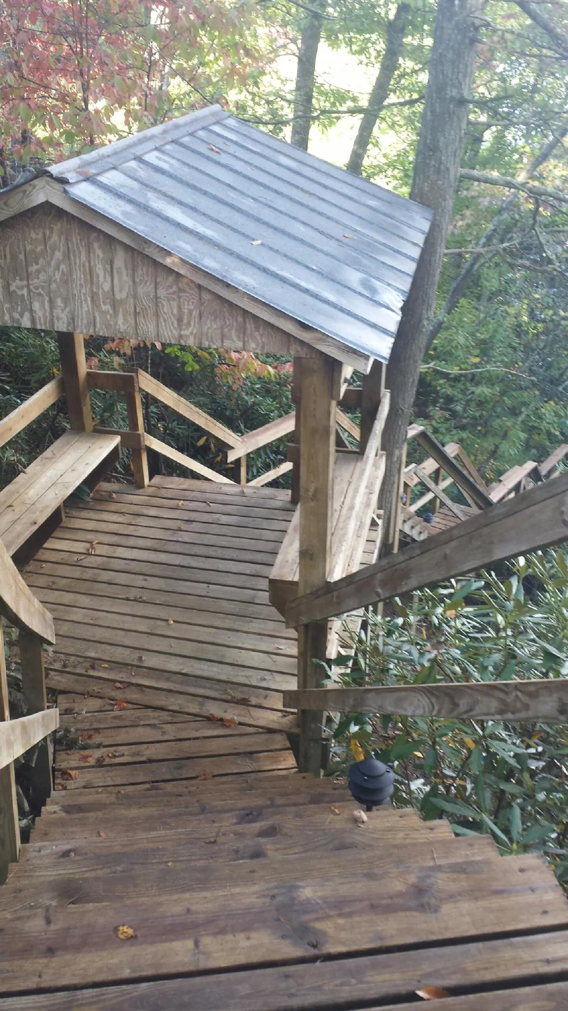 Metal roofed shelter over wooden steps on a wooded walkway — Skylight Repair & Installation work by our crew in Brave